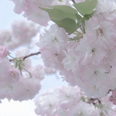 Furry绘画原创灵感FurryQQ群